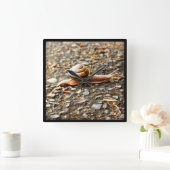 赤いカタツムリ スクエア壁時計 (ホーム)