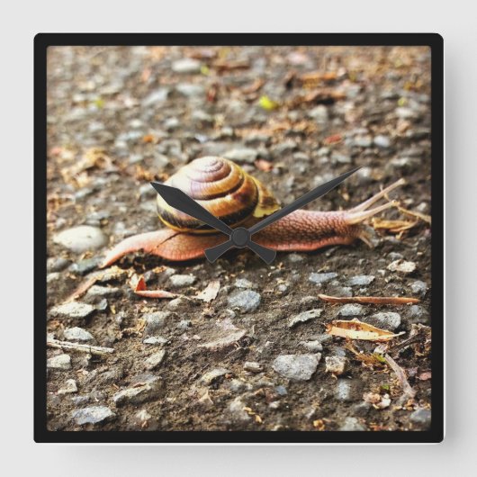 赤いカタツムリ スクエア壁時計 (正面)