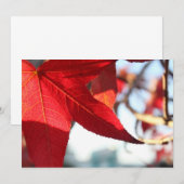 赤いカナダの国旗の招待状 招待状 (正面/裏面)