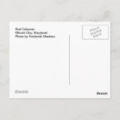 赤いカボース。メリーランド州エリコットシティ ポストカード (裏面)