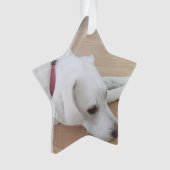 赤いカラースタークリスマスを着たかわいい犬 オーナメント (正面)