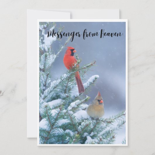 赤いカーディナルがいるクリスマスカード シーズンカード (正面)