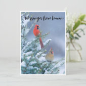 赤いカーディナルがいるクリスマスカード シーズンカード (スタンド正面)