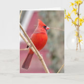 赤いカーディナルの空白のグリーティングカード カード (黄色い花)