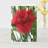 赤いカーネーションのグリーティングカード カード (黄色い花)