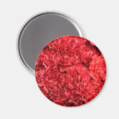 赤いカーネーションの背景 マグネット (正面/裏面)