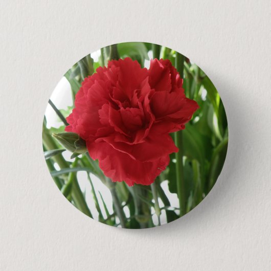 赤いカーネーションの花ボタン 缶バッジ (正面)