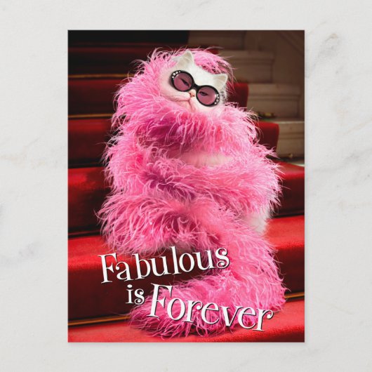 赤いカーペットピンク包まれたのボアのディバホワイトキャット ポストカード (正面)