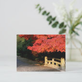 赤いカ日本のエデ ポストカード (スタンド正面)