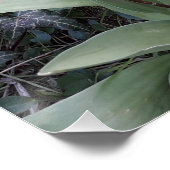 赤いガーデンチューリップ ポスター (コーナー)