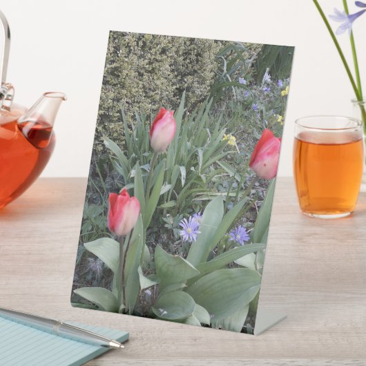 赤いガーデンチューリップ 台座サイン (インサイチュ)