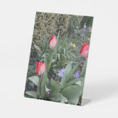 赤いガーデンチューリップ 台座サイン (正面)