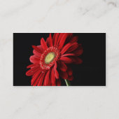 赤いガーベラのデイジーの名刺 名刺 (裏面)
