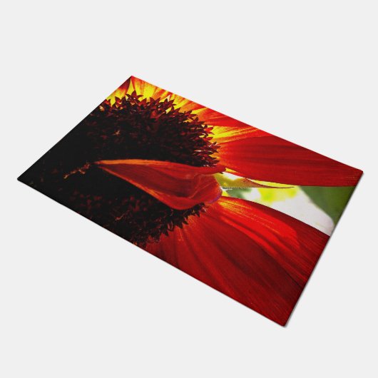 赤いガーベラデイジーの花はっきりしたのモダン写真 ドアマット (アングル)