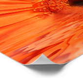 赤いガーベラ ポスター (角)