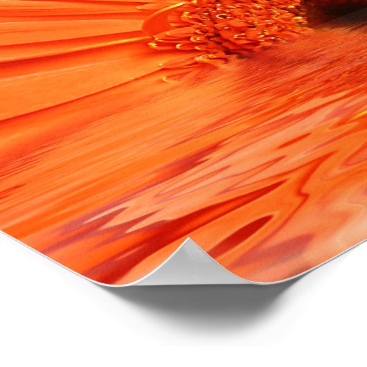 赤いガーベラ ポスター (角)