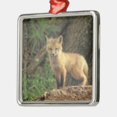 赤いキツネが田の前に現れる メタルオーナメント (左)