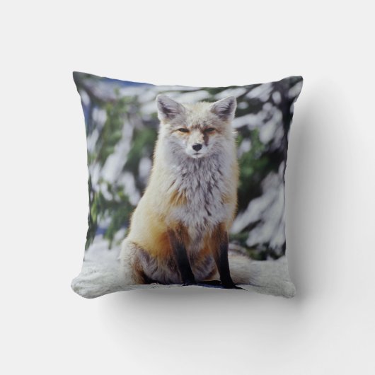 赤いキツネが雪の土手に座っている、Vulpes、山 クッション (正面)