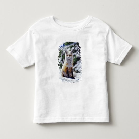 赤いキツネが雪の土手に座っている、Vulpes、山 トドラーTシャツ (正面)