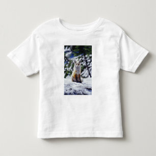 赤いキツネが雪の土手に座っている、Vulpes、山 トドラーTシャツ