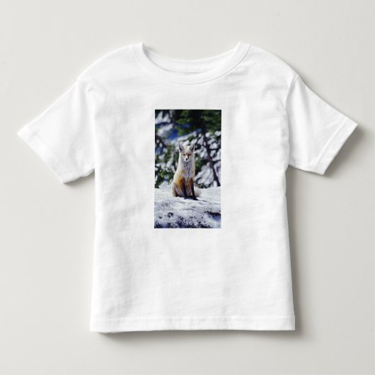 赤いキツネが雪の土手に座っている、Vulpes、山 トドラーTシャツ (正面)