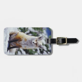 赤いキツネが雪の土手に座っている、Vulpes、山 ラゲッジタグ (正面横)