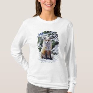 赤いキツネが雪の土手に座っている、Vulpes、山 Tシャツ