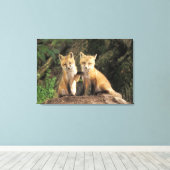 赤いキツネの目の前にハゲワシ) キャンバスプリント (インサイチュ (ウッドフロア))