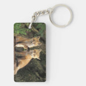 赤いキツネの目の前にハゲワシ) キーホルダー (裏面)