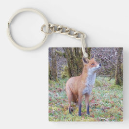 赤いキツネの野生の木立の動物の自然 キーホルダー