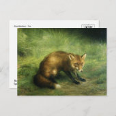 赤いキツネはがき ポストカード (正面/裏面)