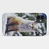 赤いキツネは雪の土手、バルペス、山に座っている。 Case-Mate iPhoneケース (裏面(横))