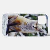 赤いキツネは雪の土手、バルペス、山に座っている。 Case-Mate iPhoneケース (裏面 (横))