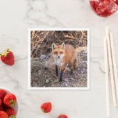赤いキツネアップ近く個人的 スタンダードカクテルナプキン (インサイチュ)