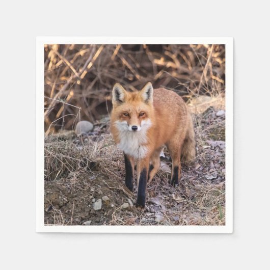 赤いキツネアップ近く個人的 スタンダードカクテルナプキン (正面)
