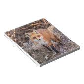 赤いキツネアップ近く個人的 ノートパッド (アングル)