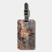 赤いキツネアップ近く個人的 ラゲッジタグ (正面縦)
