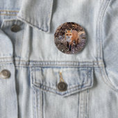 赤いキツネアップ近く個人的 缶バッジ (インサイチュ)