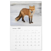 赤いキツネカレンダー2021 カレンダー (1月 2027)