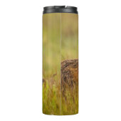 赤いキツネキットがママを調べる タンブラー (裏面)