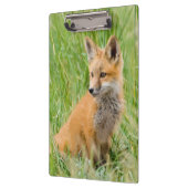 赤いキツネキットの芝生の近くに クリップボード (左)