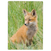 赤いキツネキットの芝生の近くに クリップボード (裏面)