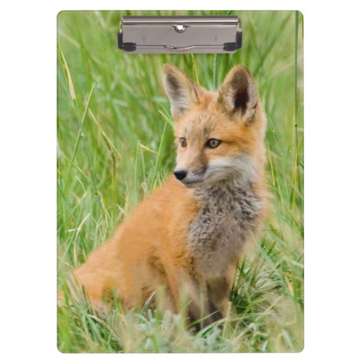 赤いキツネキットの芝生の近くに クリップボード (正面)
