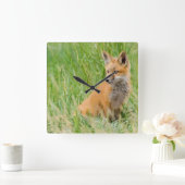 赤いキツネキットの芝生の近くに スクエア壁時計 (ホーム)