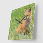 赤いキツネキットの芝生の近くに スクエア壁時計 (傾斜)