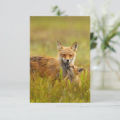 赤いキツネキットママグリーティングカードを探す サンキューカード (スタンド正面)