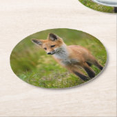 赤いキツネキット ラウンドペーパーコースター (アングル)