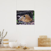 赤いキツネポスター ポスター (キッチン)