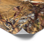 赤いキツネポスター ポスター (角)