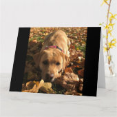 赤いキツネラブラドールは紅葉の挨拶に座った カード (黄色い花)